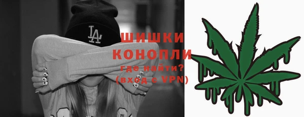 дживик Абаза