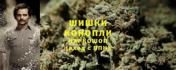 дживик Абаза