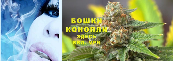 дживик Абаза