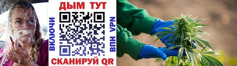 Бошки марихуана Amnesia  наркота  Вилюйск 